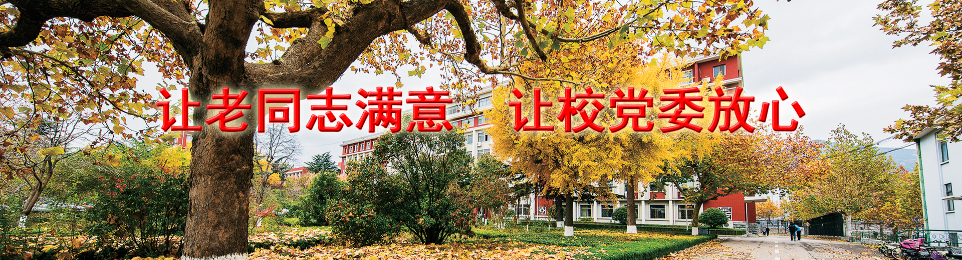 伟德源自英国始于1946